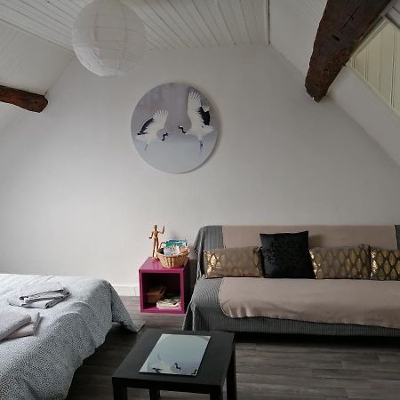 Appartement Spacieux Vue Sur Loire Proche Du Centre Blois Eksteriør billede