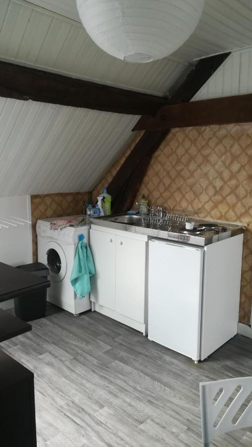 Appartement Spacieux Vue Sur Loire Proche Du Centre Blois Eksteriør billede