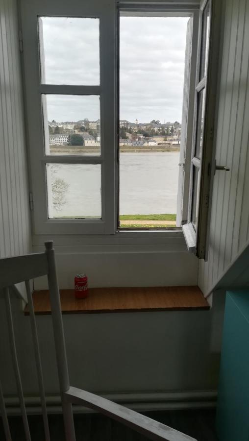 Appartement Spacieux Vue Sur Loire Proche Du Centre Blois Eksteriør billede