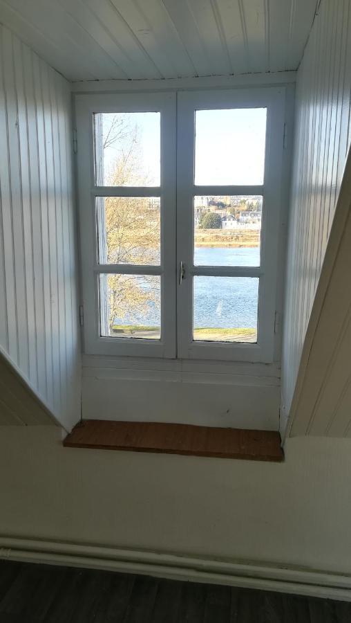 Appartement Spacieux Vue Sur Loire Proche Du Centre Blois Eksteriør billede
