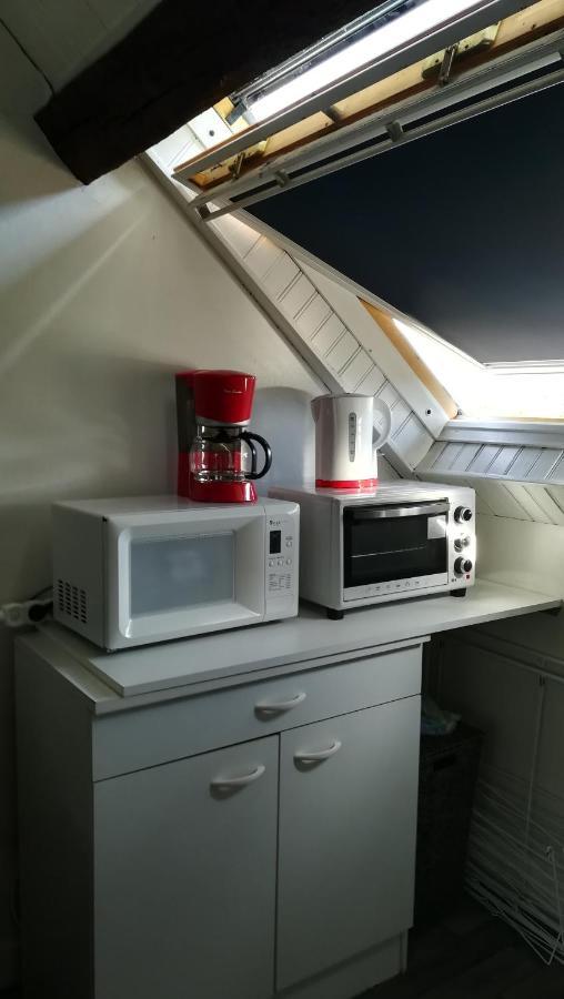 Appartement Spacieux Vue Sur Loire Proche Du Centre Blois Eksteriør billede