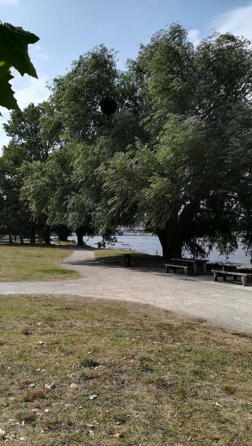 Appartement Spacieux Vue Sur Loire Proche Du Centre Blois Eksteriør billede