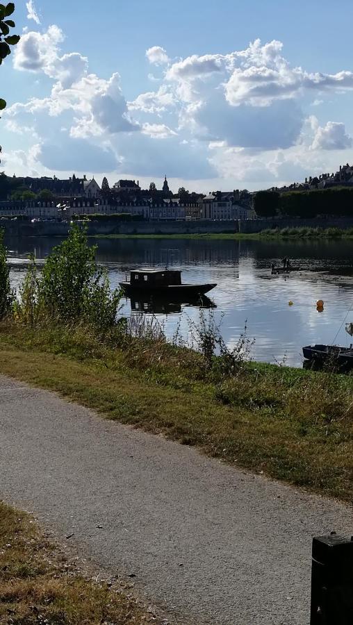 Appartement Spacieux Vue Sur Loire Proche Du Centre Blois Eksteriør billede