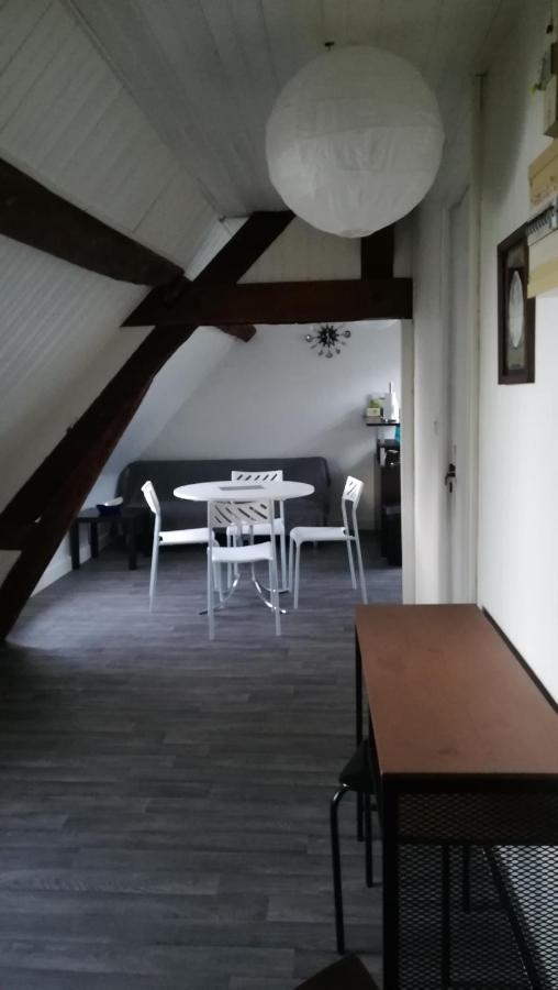 Appartement Spacieux Vue Sur Loire Proche Du Centre Blois Eksteriør billede