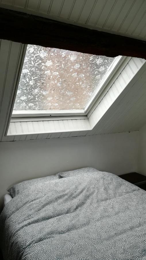 Appartement Spacieux Vue Sur Loire Proche Du Centre Blois Eksteriør billede