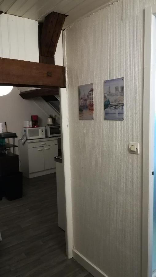 Appartement Spacieux Vue Sur Loire Proche Du Centre Blois Eksteriør billede