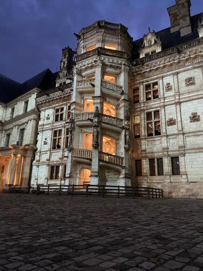 Appartement Spacieux Vue Sur Loire Proche Du Centre Blois Eksteriør billede