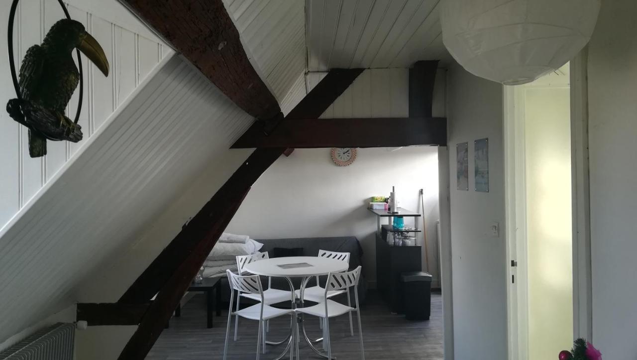 Appartement Spacieux Vue Sur Loire Proche Du Centre Blois Eksteriør billede