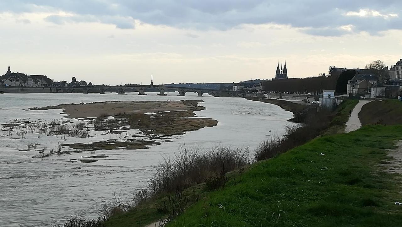 Appartement Spacieux Vue Sur Loire Proche Du Centre Blois Eksteriør billede