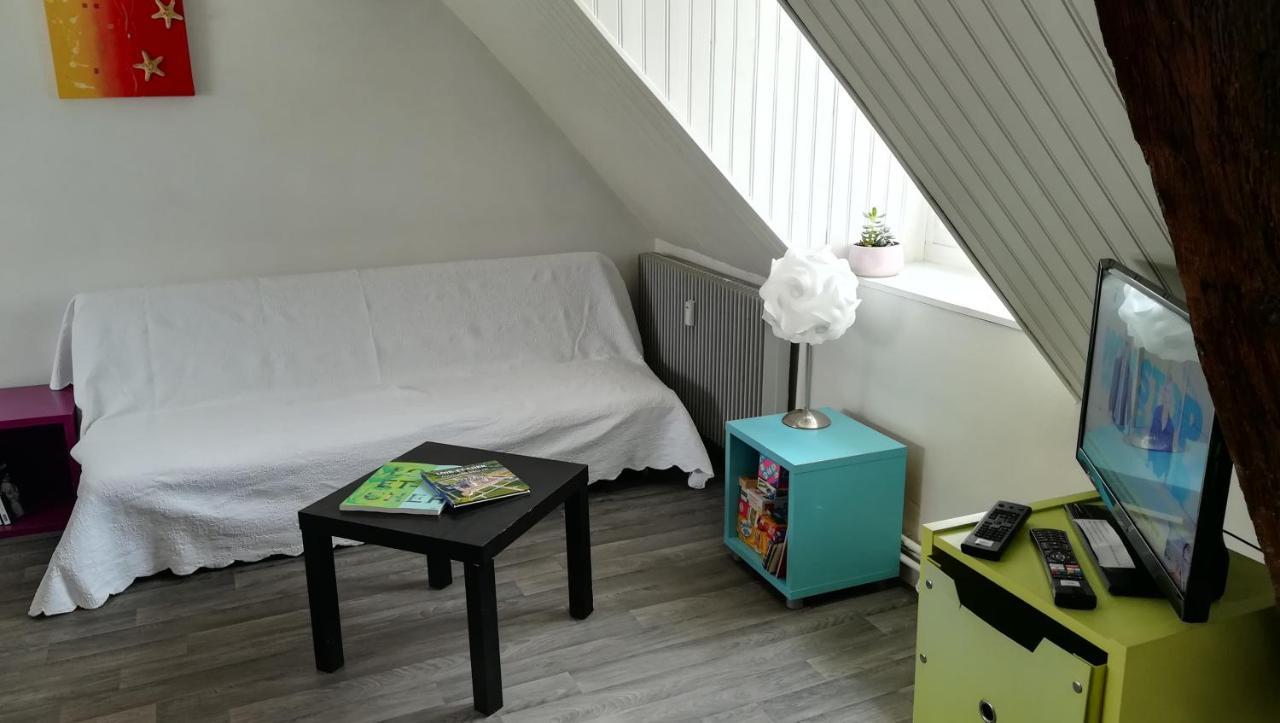 Appartement Spacieux Vue Sur Loire Proche Du Centre Blois Eksteriør billede
