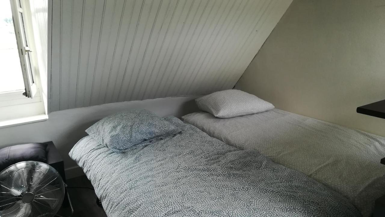 Appartement Spacieux Vue Sur Loire Proche Du Centre Blois Eksteriør billede